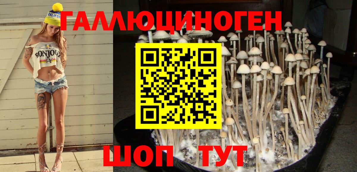 Галлюциногенные грибы прущие грибы Кольчугино