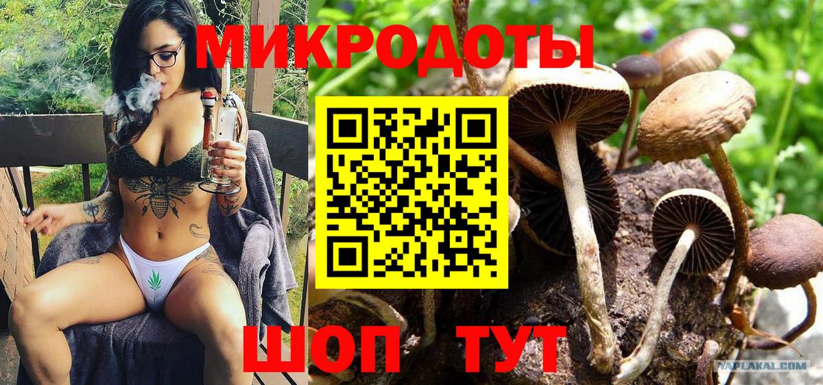 Псилоцибиновые грибы Psilocybe  Вход с VPN  Галлюциногенные грибы MAGIC MUSHROOMS  Кольчугино 